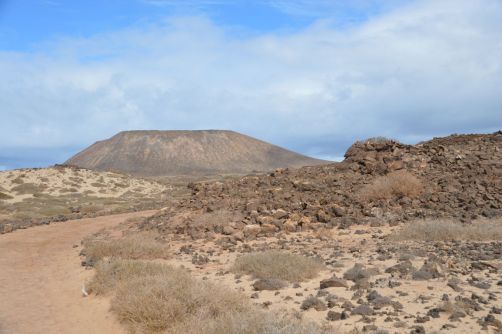 lobos-fuerteventura (223)
