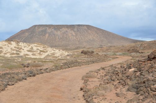 lobos-fuerteventura (226)