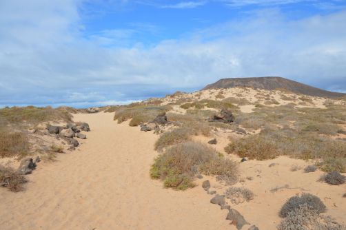 lobos-fuerteventura (227)