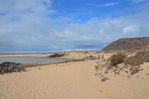 lobos-fuerteventura (230)