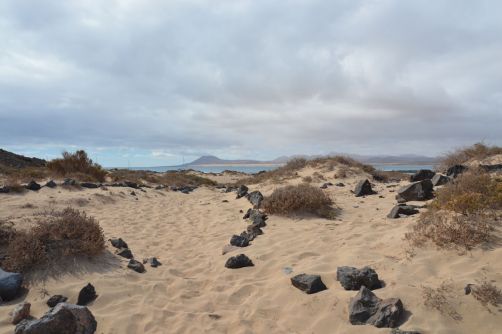 lobos-fuerteventura (231)