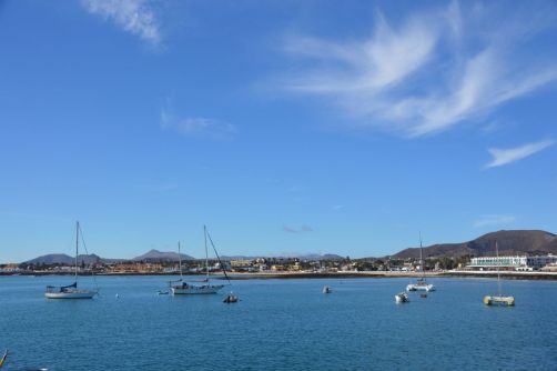 lobos-fuerteventura (3)