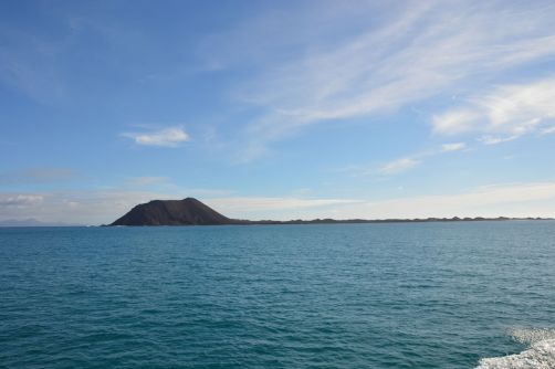 lobos-fuerteventura (30)