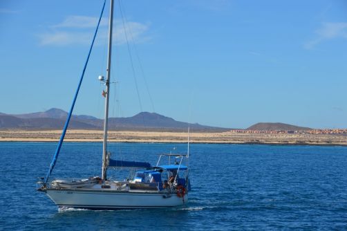 lobos-fuerteventura (51)