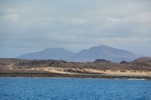 lobos-fuerteventura (67)