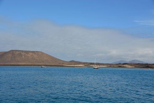lobos-fuerteventura (74)