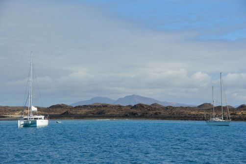lobos-fuerteventura (78)