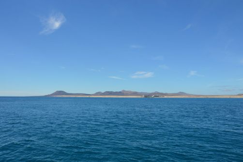 lobos-fuerteventura (95)