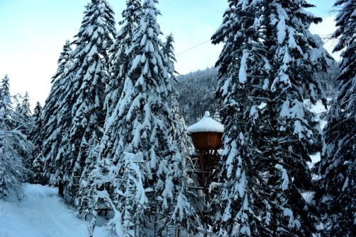 cabanes-boldair (10)