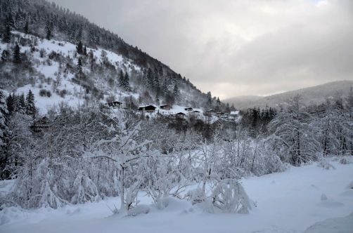 cabanes-boldair (108)