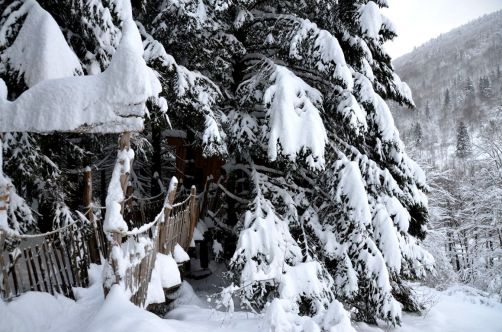 cabanes-boldair (109)