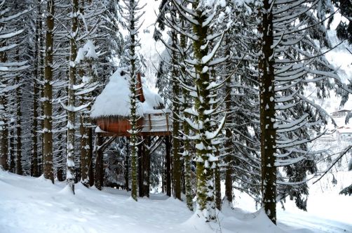 cabanes-boldair (112)