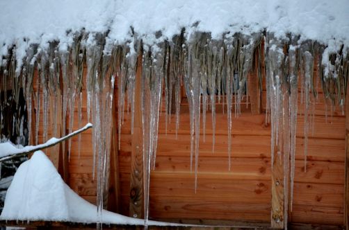 cabanes-boldair (114)