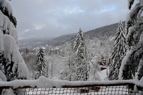 cabanes-boldair (120)