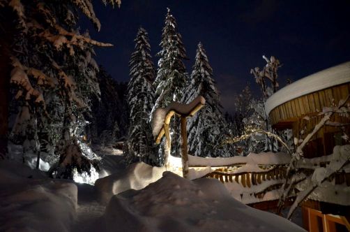 cabanes-boldair (131)