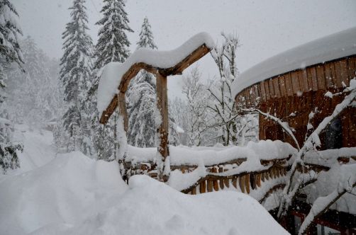 cabanes-boldair (29)