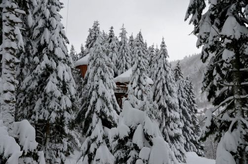 cabanes-boldair (37)