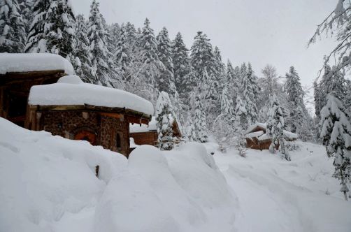 cabanes-boldair (39)