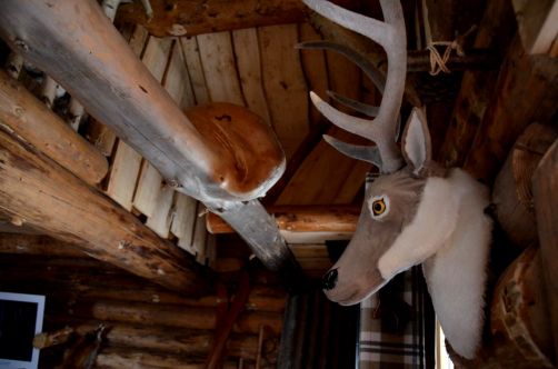 cabanes-boldair (68)