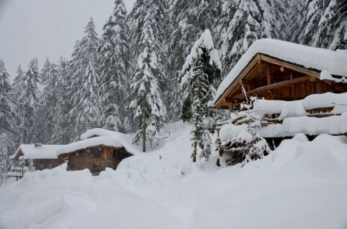 cabanes-boldair (73)