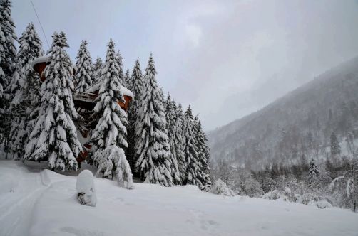 cabanes-boldair (87)