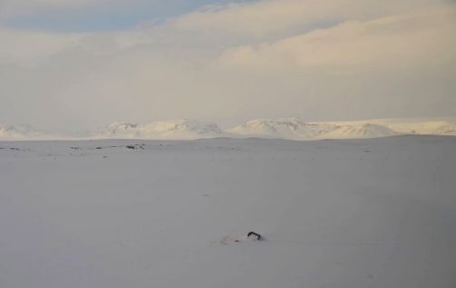 islande-hiver (14)
