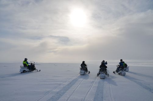 Faire de la motoneige sur un glacier, une expérience à ne pas rater !
