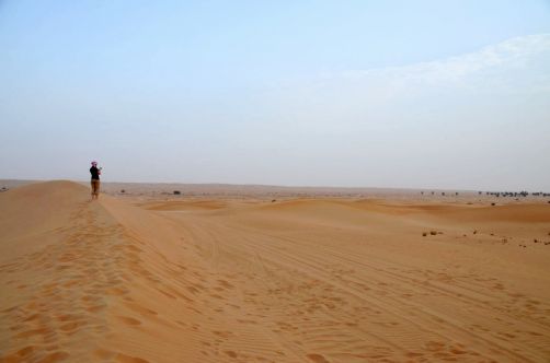 desert-de-dubai (12)