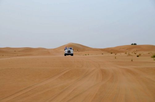 desert-de-dubai (13)