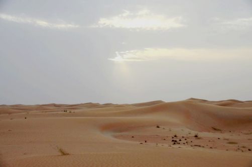 desert-de-dubai (20)