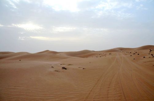 desert-de-dubai (21)