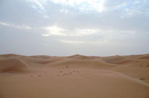 desert-de-dubai (22)