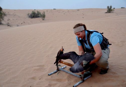 desert-de-dubai (31)