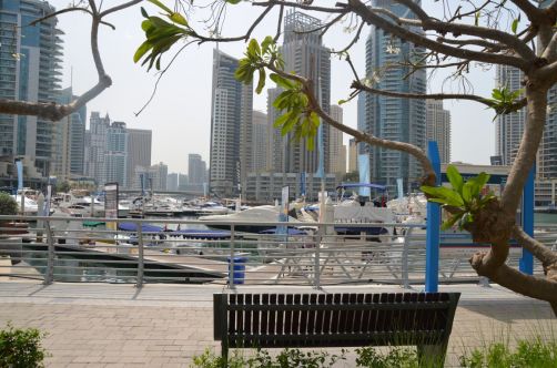 dubai (34)