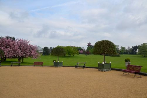 serres-royales-de-laeken (11)