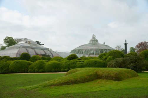serres-royales-de-laeken (14)