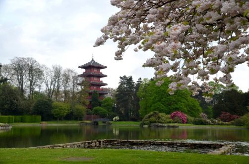 serres-royales-de-laeken (16)