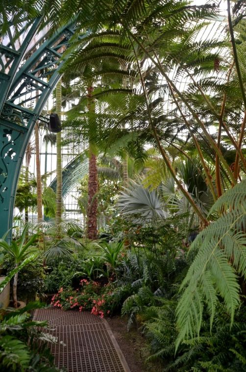 serres-royales-de-laeken (19)
