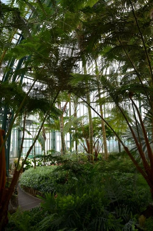serres-royales-de-laeken (20)
