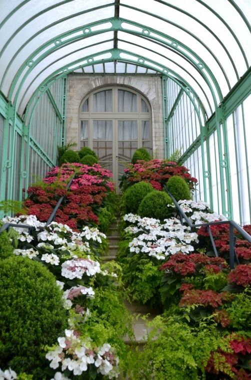 serres-royales-de-laeken (24)