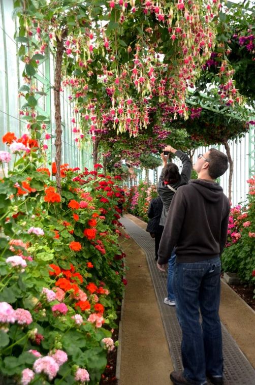 serres-royales-de-laeken (33)