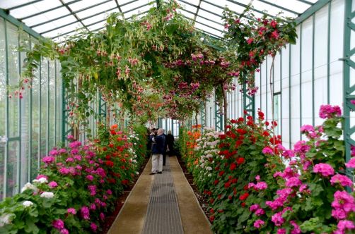 serres-royales-de-laeken (34)