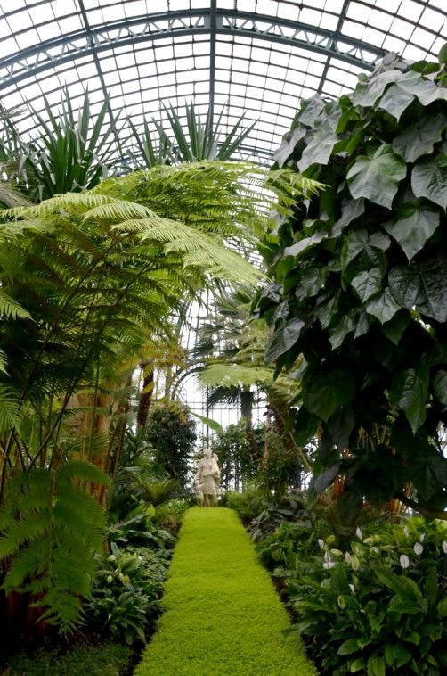 serres-royales-de-laeken (35)