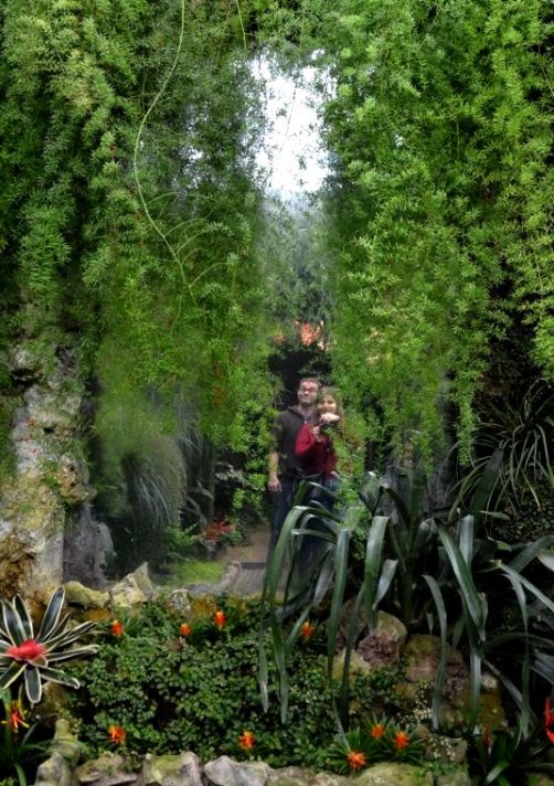 serres-royales-de-laeken (38)