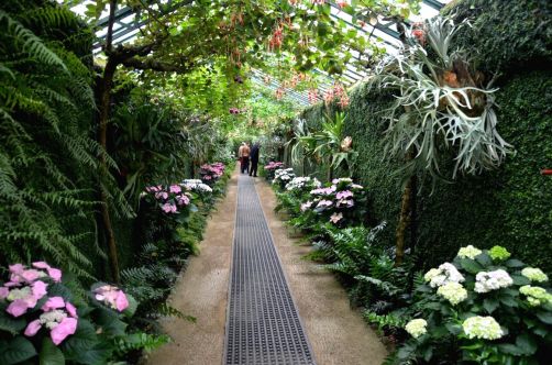 serres-royales-de-laeken (44)