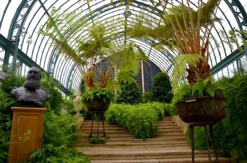serres-royales-de-laeken (49)