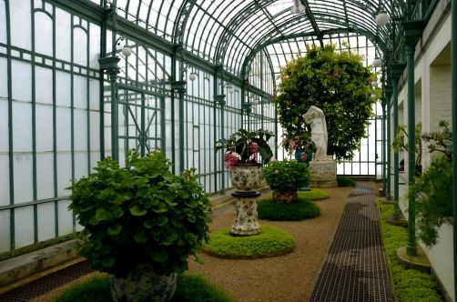 serres-royales-de-laeken (50)