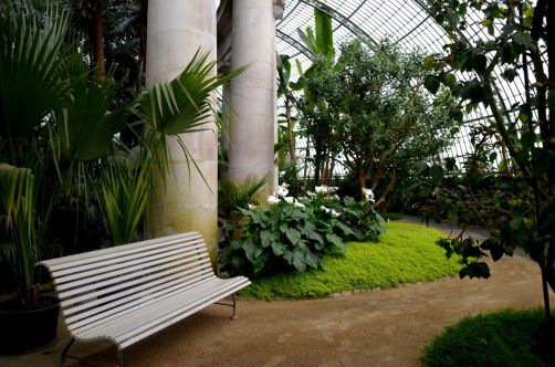 serres-royales-de-laeken (51)