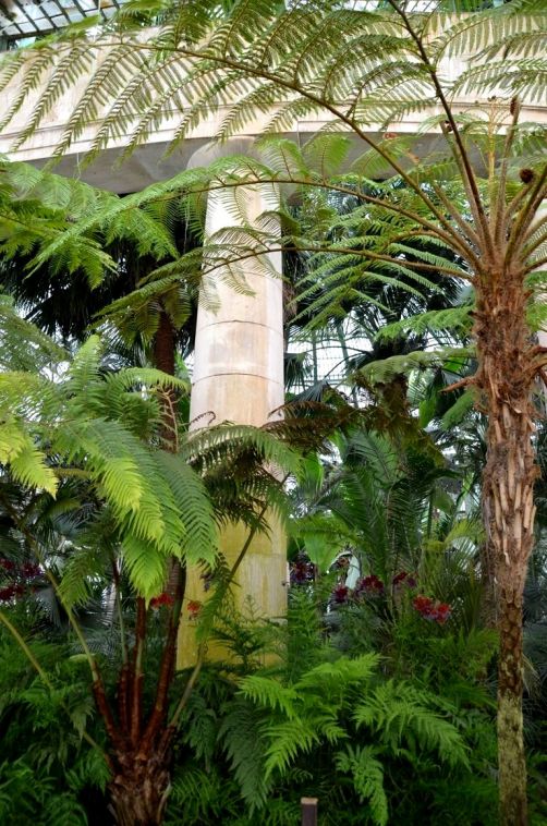serres-royales-de-laeken (52)