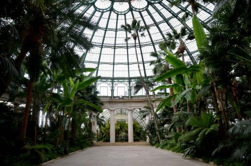 serres-royales-de-laeken (55)